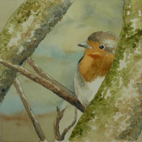rouge-gorge